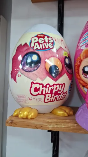 פטס אלייב ריינבו