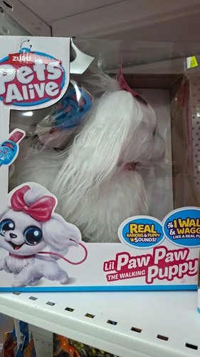 פטס לייב כלבלב