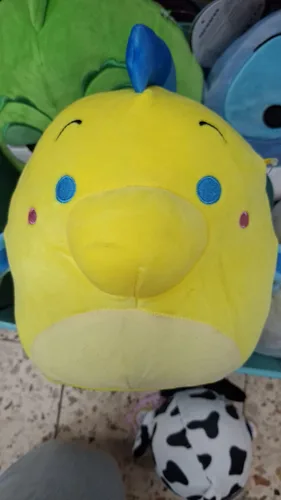 סקוושימלו דג